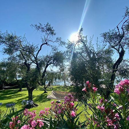 Villa Schindler Manerba del Garda Exteriör bild