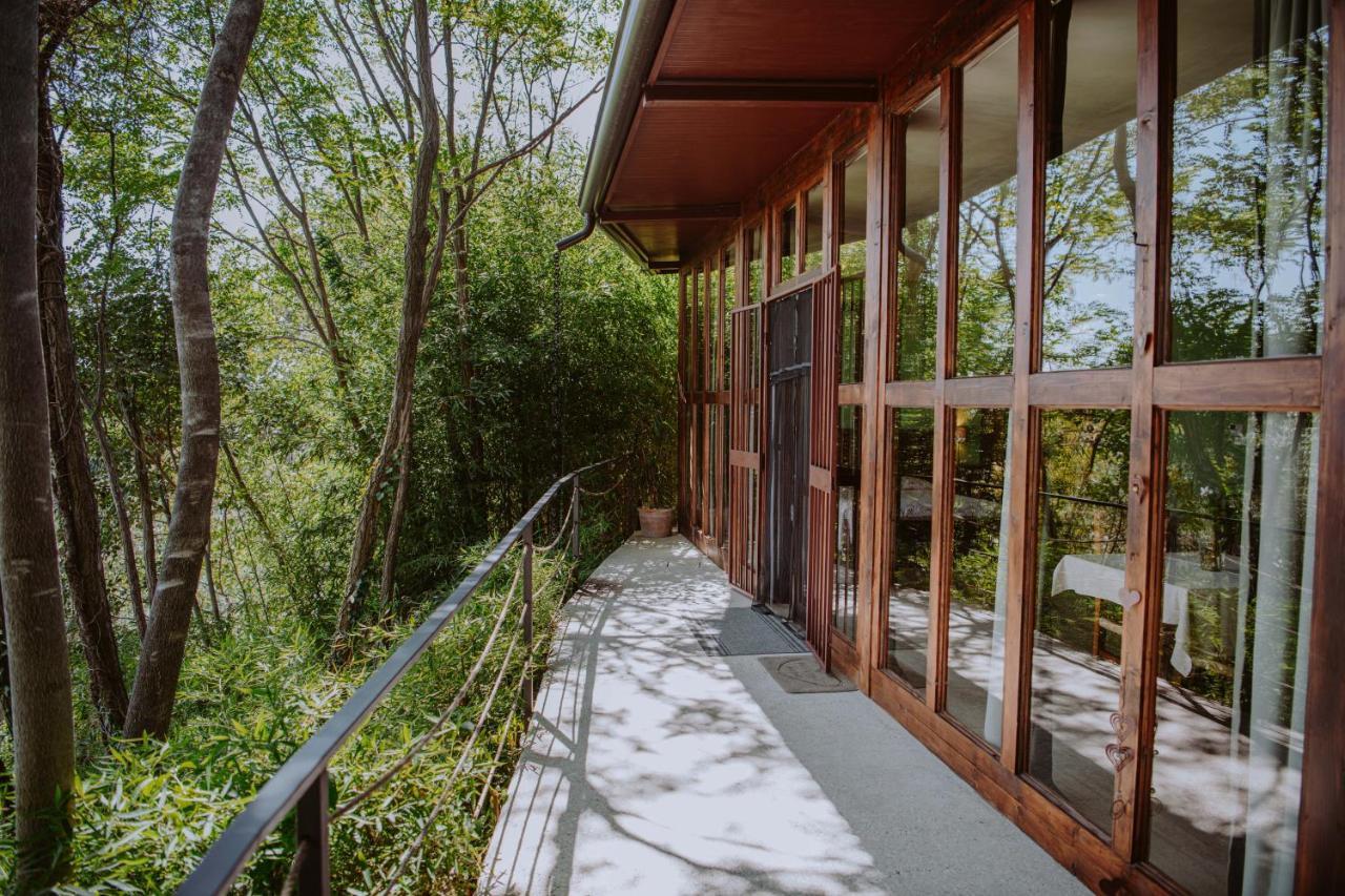 Villa Schindler Manerba del Garda Exteriör bild