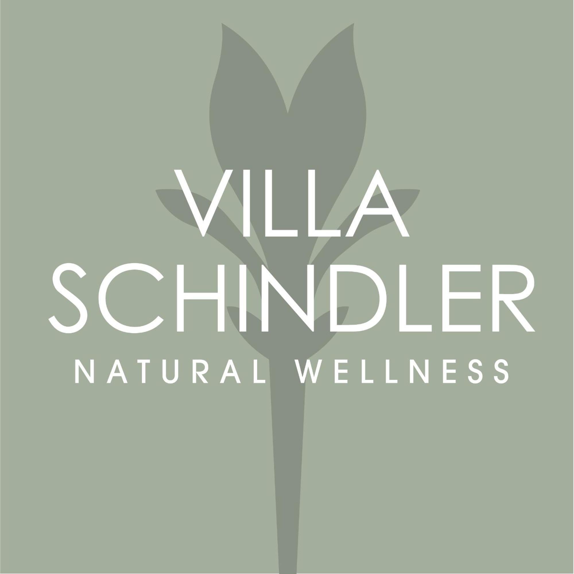 Villa Schindler Manerba del Garda Exteriör bild